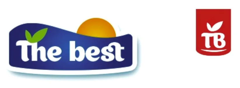 The Best logo